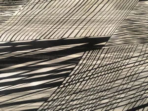 Black & Silver Mixed Print Silk