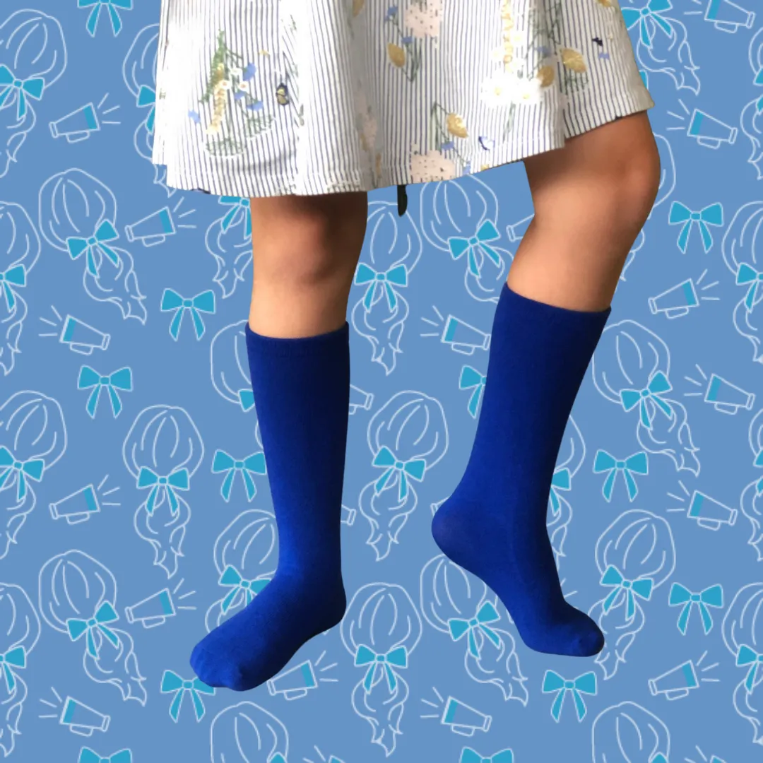 Blue Faction / House Socks