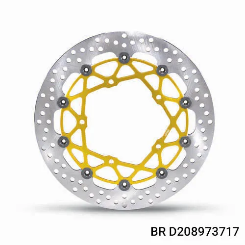 Brembo race discs