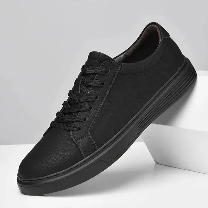 Dalmo Leather Shoes