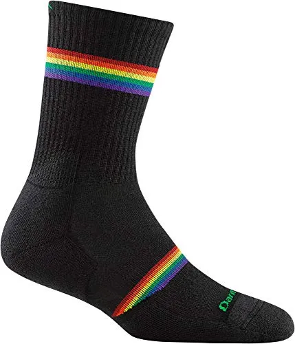 Darn Tough Kids 3031 Prism Jr. Crew Lightweight with Cushion Merino Wool Socks