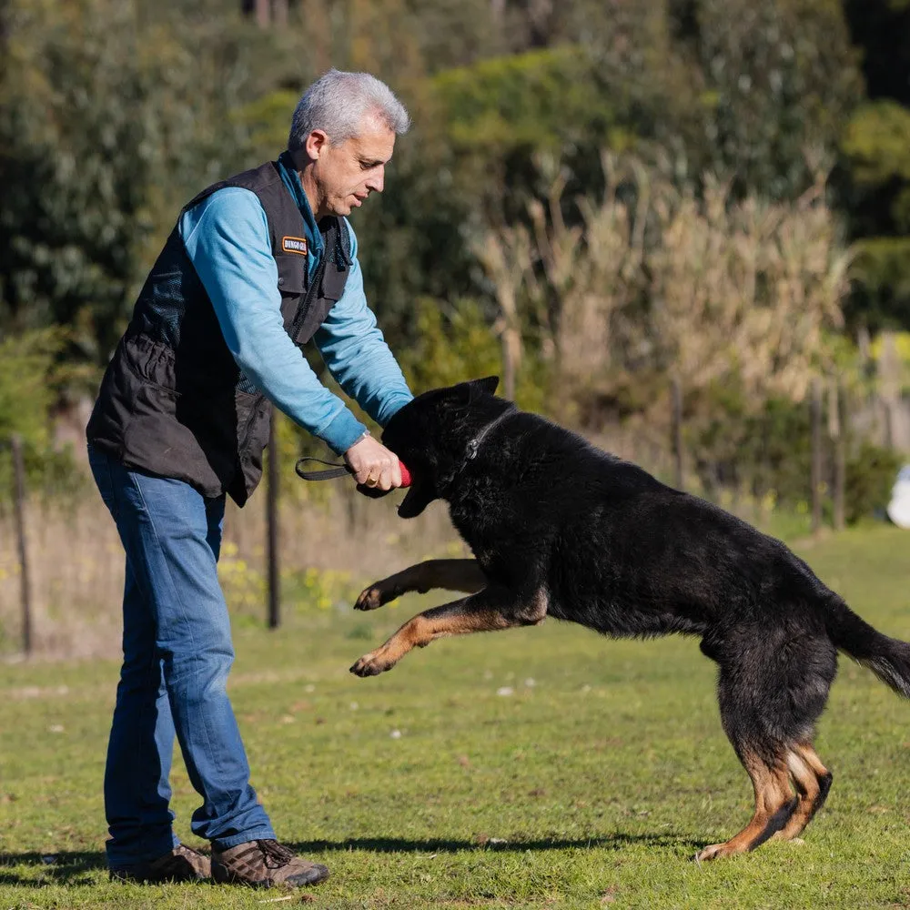 Dingo Gear Mesh Dog Trainers Vest, Black