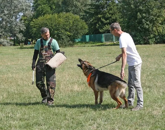 Dingo Gear - RALF Sleeve