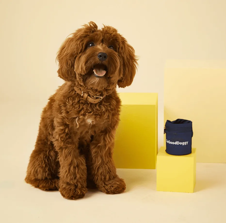 DoGoodDoggy Treat Holder Training Wristband