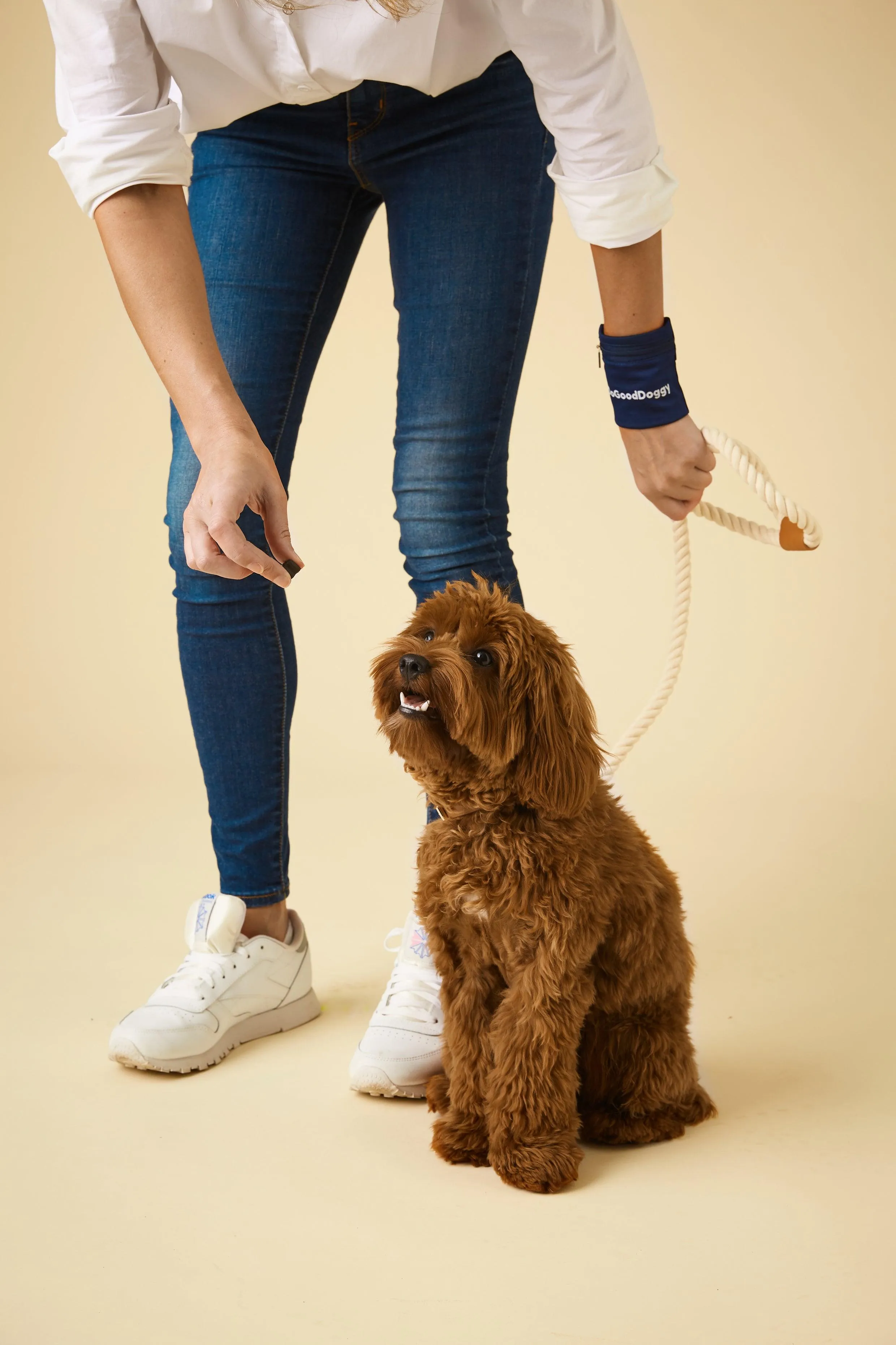 DoGoodDoggy Treat Holder Training Wristband