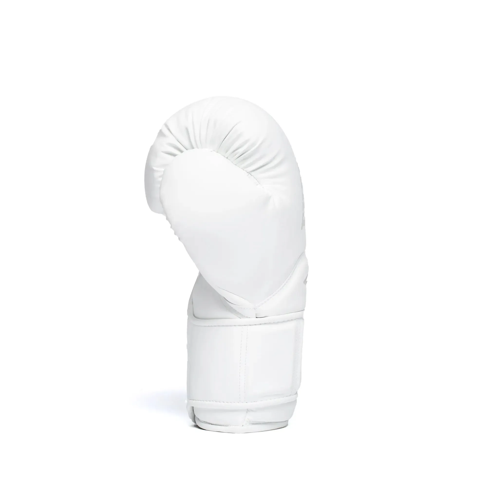 Elite 2 Pro Boxing Gloves - Hook & Loop