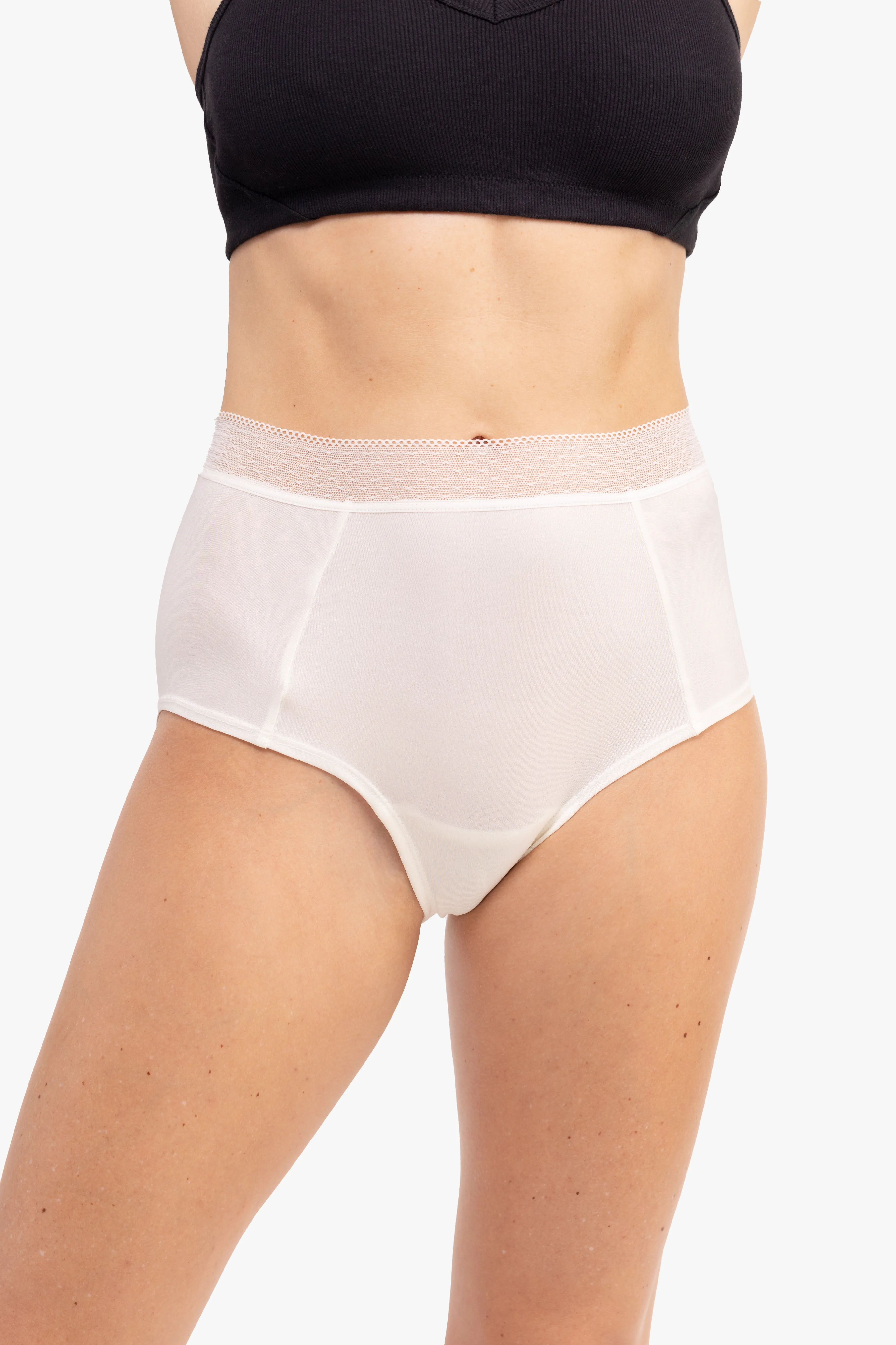 High Waisted Silk Briefs