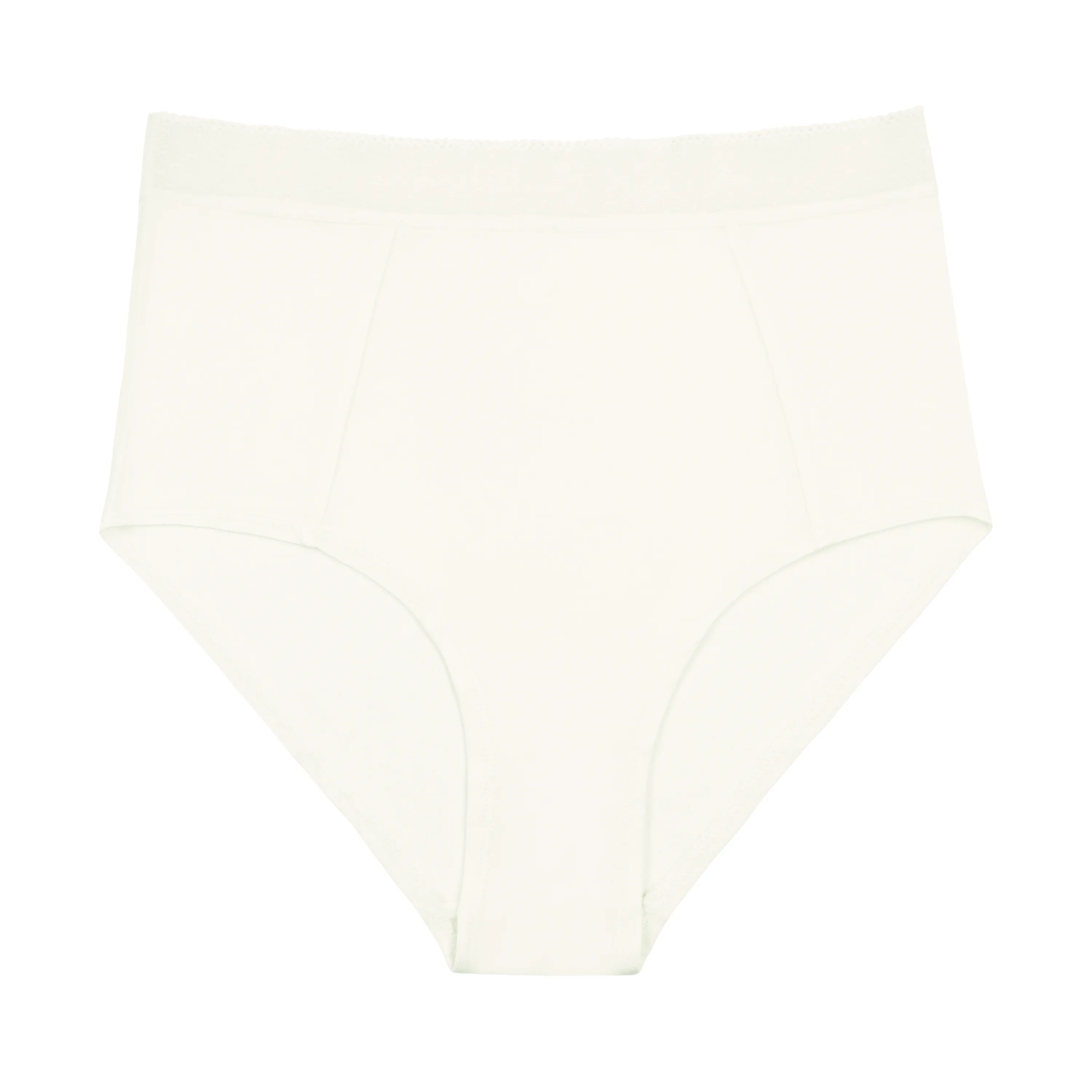 High Waisted Silk Briefs