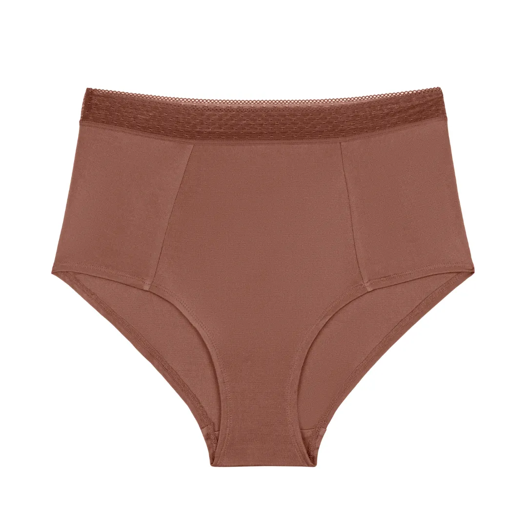 High Waisted Silk Briefs