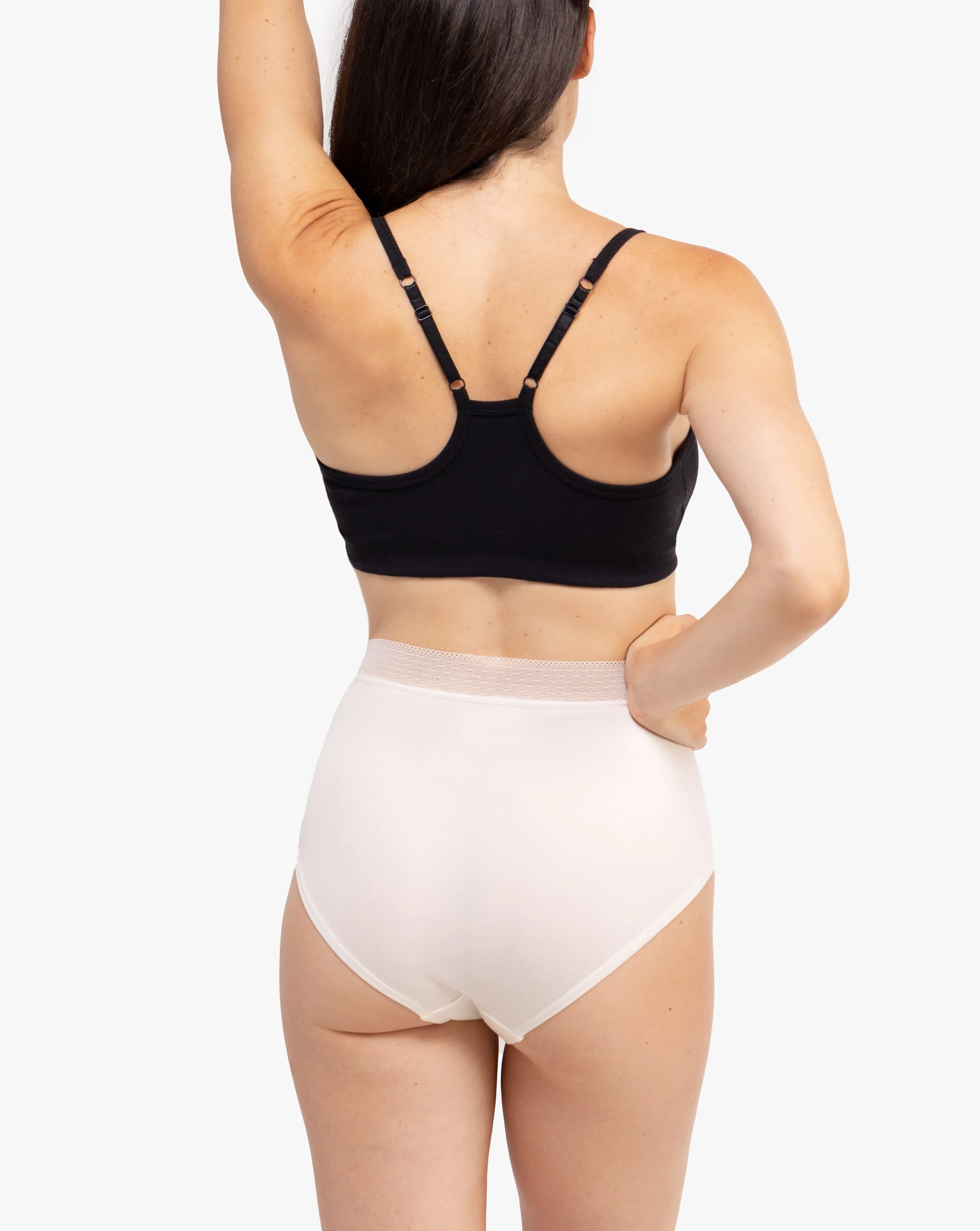 High Waisted Silk Briefs