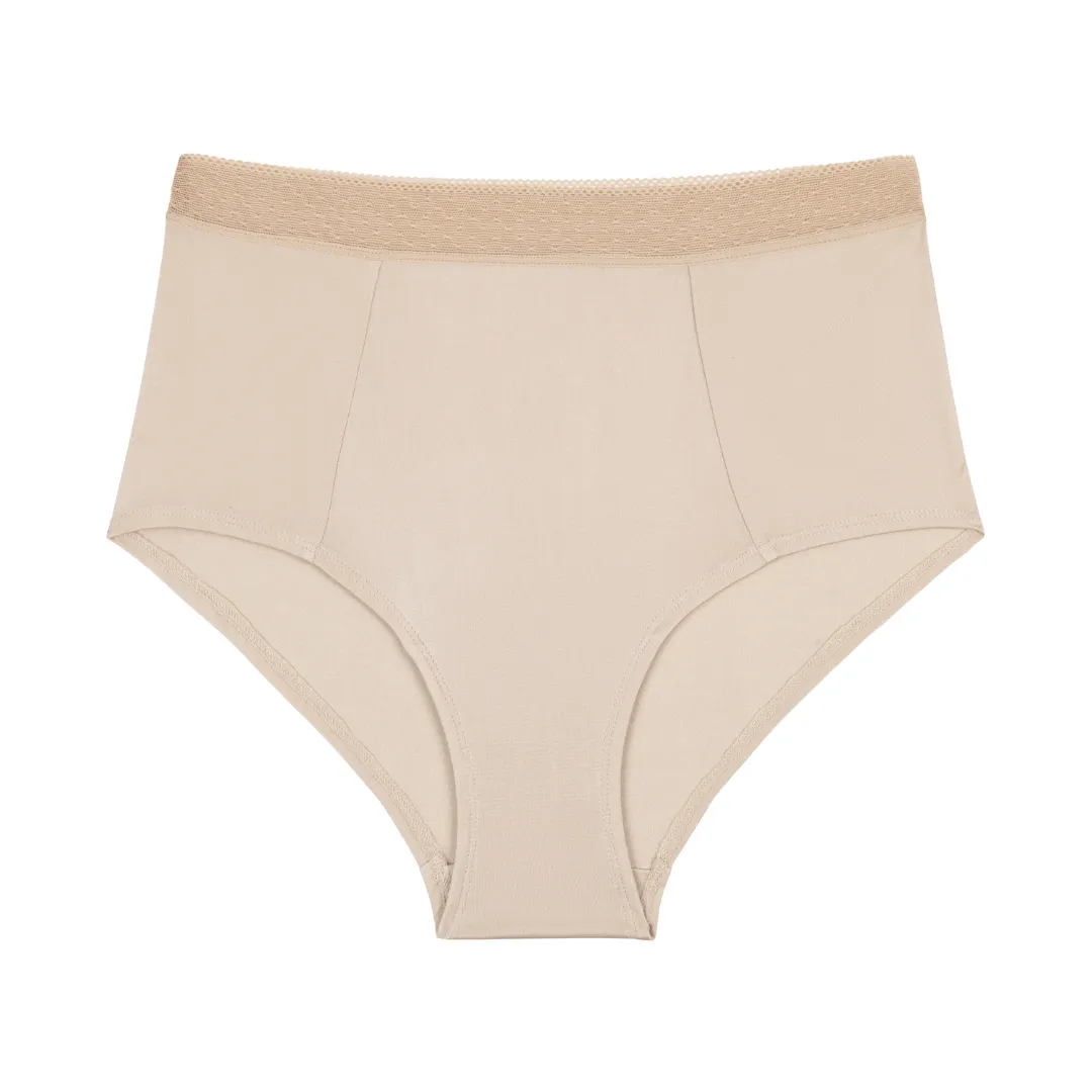 High Waisted Silk Briefs
