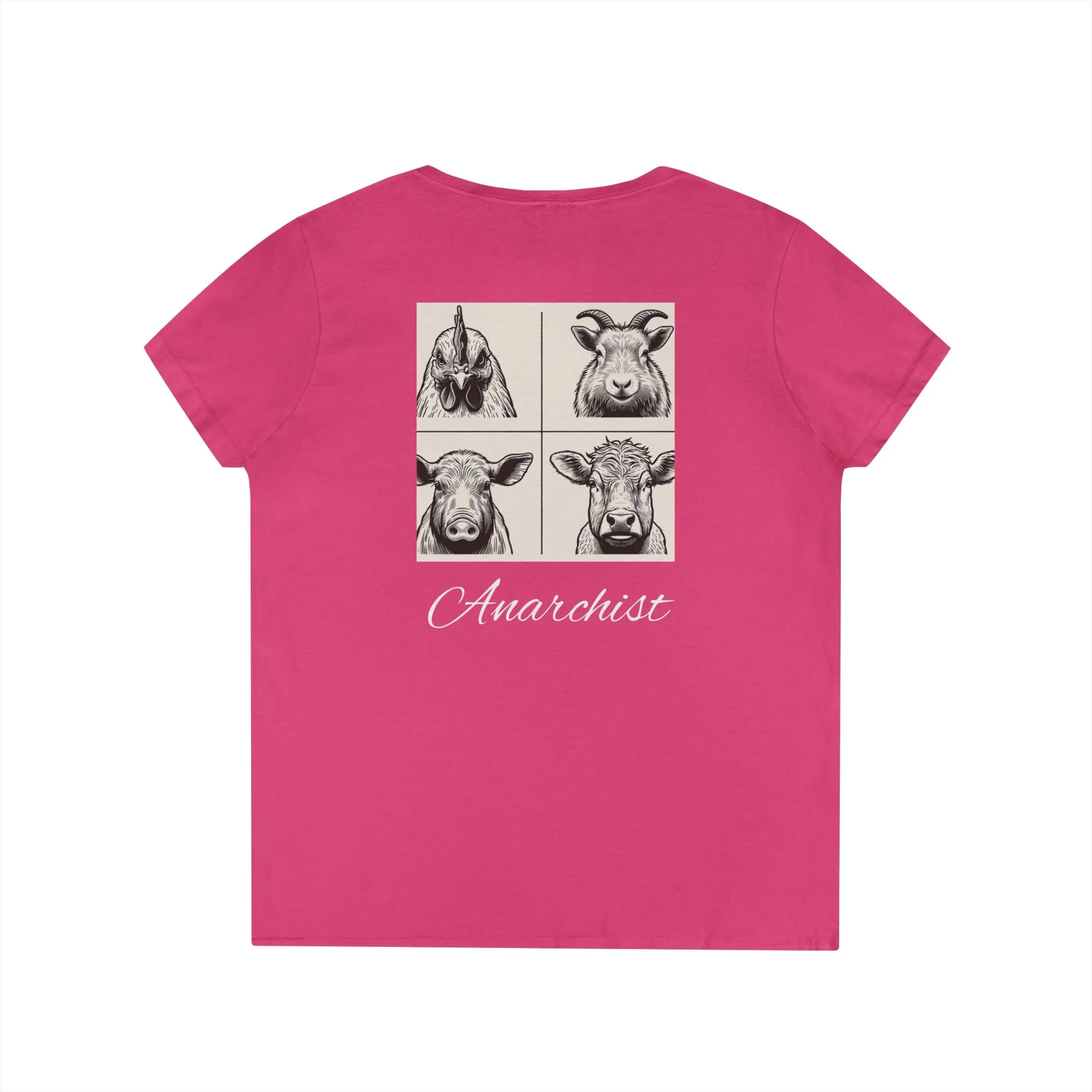 Ladies' V-Neck T-Shirt