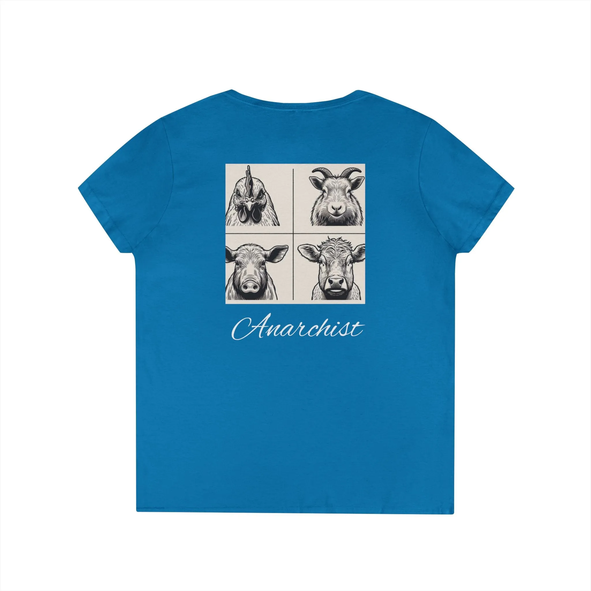 Ladies' V-Neck T-Shirt