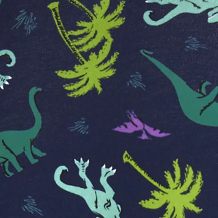 Land of Dinosaur Hipster Underwear