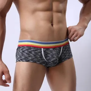 Men's Sexy Underpants Low-waist High Fork Pure Cotton Sexy Plus Size