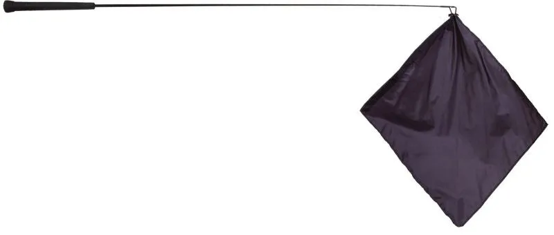 Mustang Training Flag