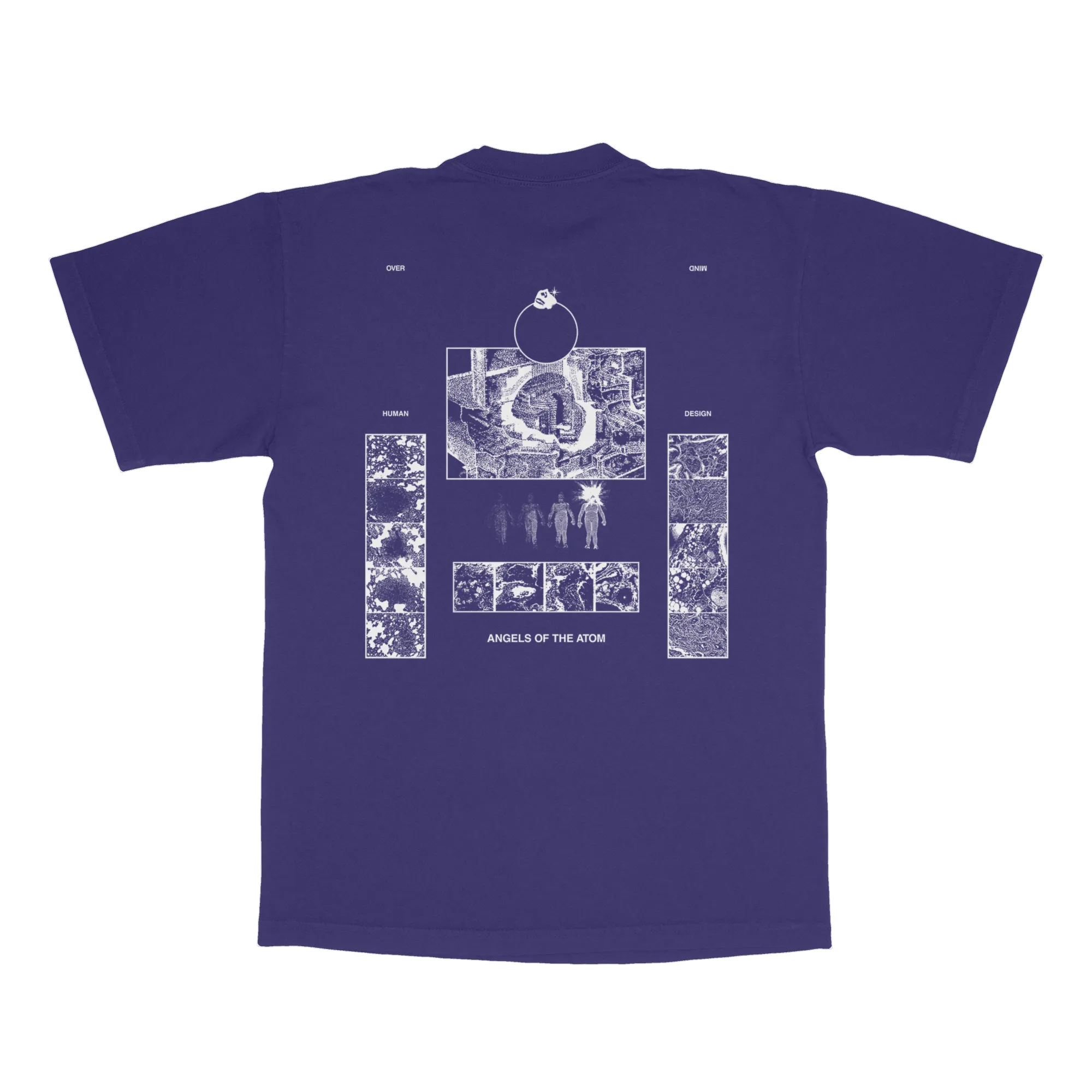 REACTOR : GRAPE