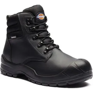 Safety Boot Trenton Dickies / Buy Online