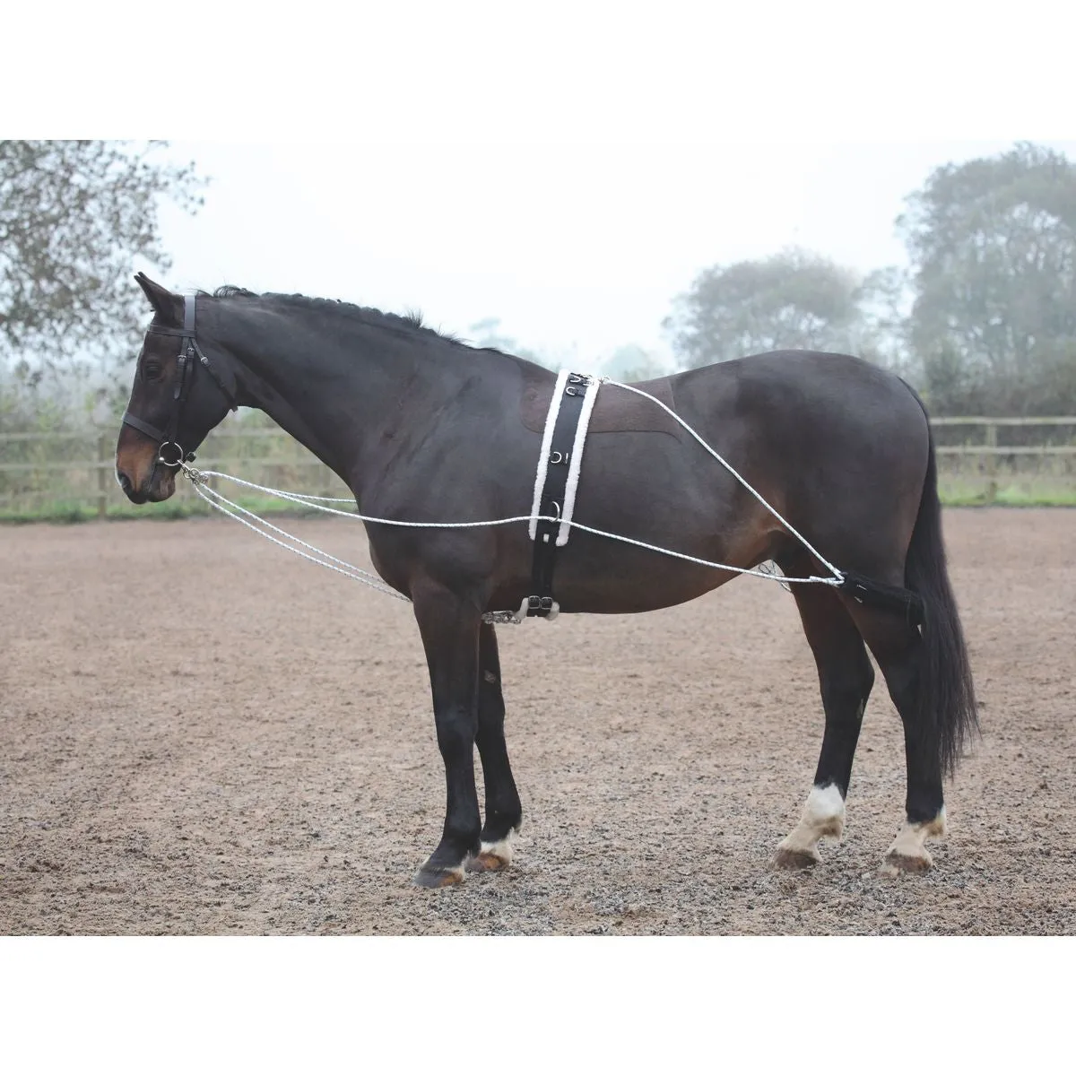 Shires Lunging Aid System