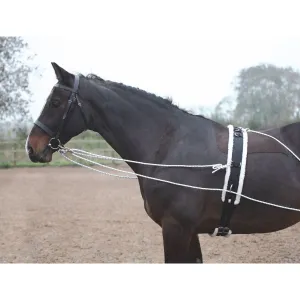 Shires Lunging Aid System