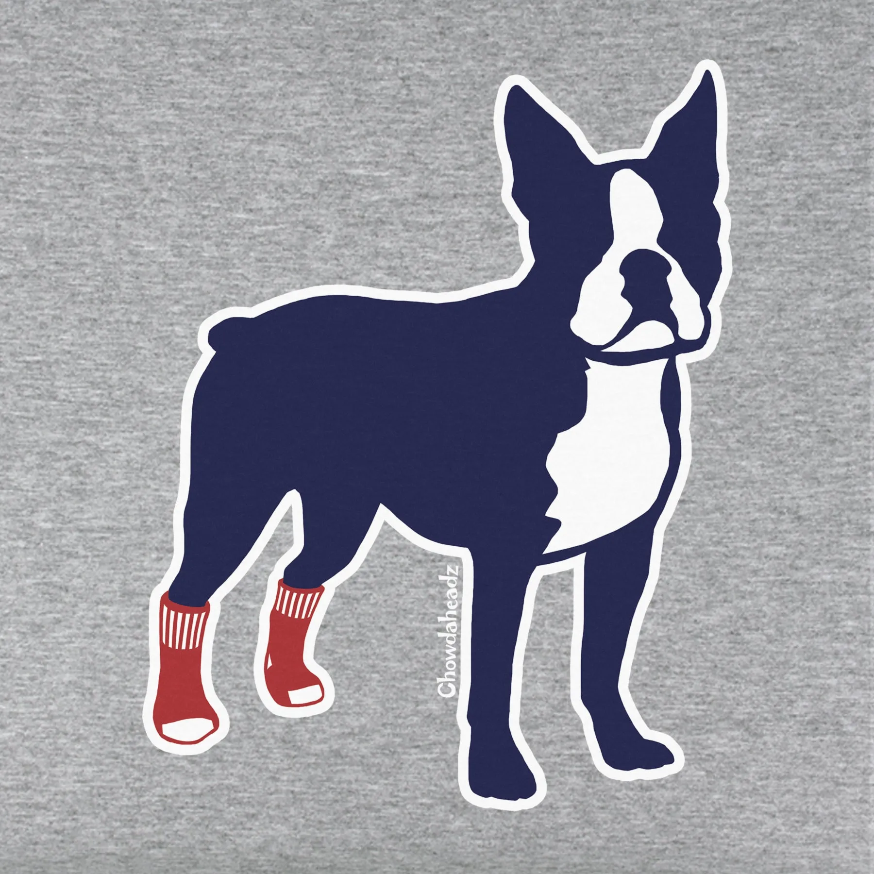 Socks on Boston Terrier Youth Hoodie