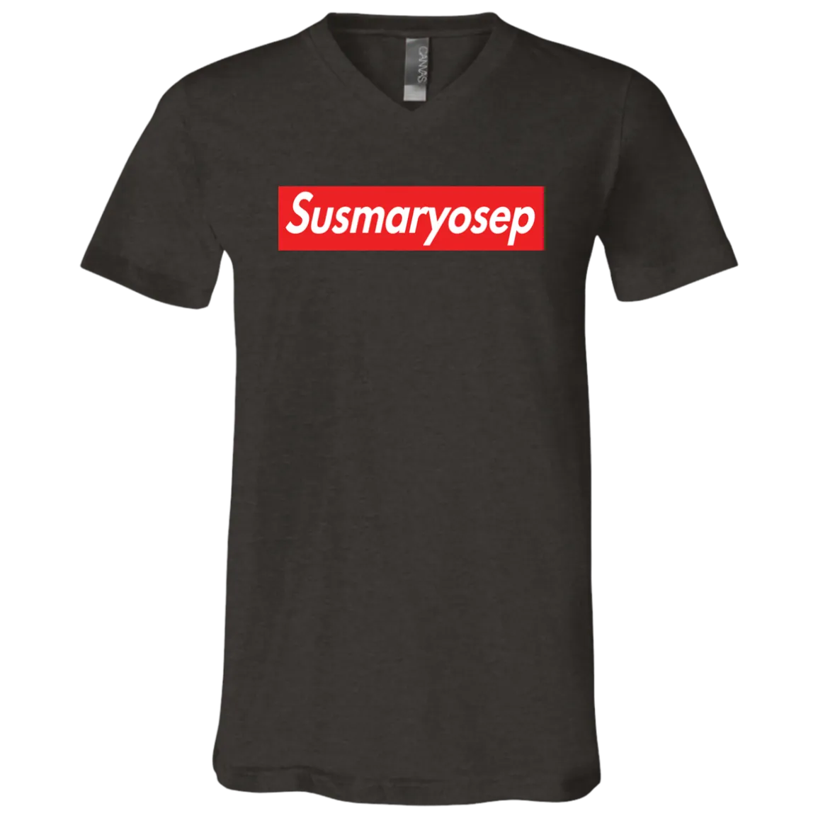 Susmaryosep  SP Unisex Jersey V-Neck T-Shirt