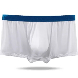 The 2nd Superior Ice Silk Dual Pouch Men's Trunk - Bird Nest Series