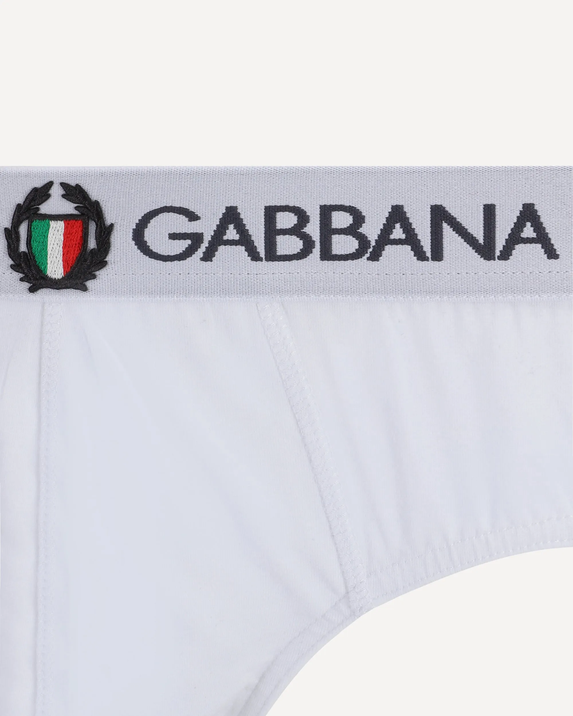 Underwear Briefs