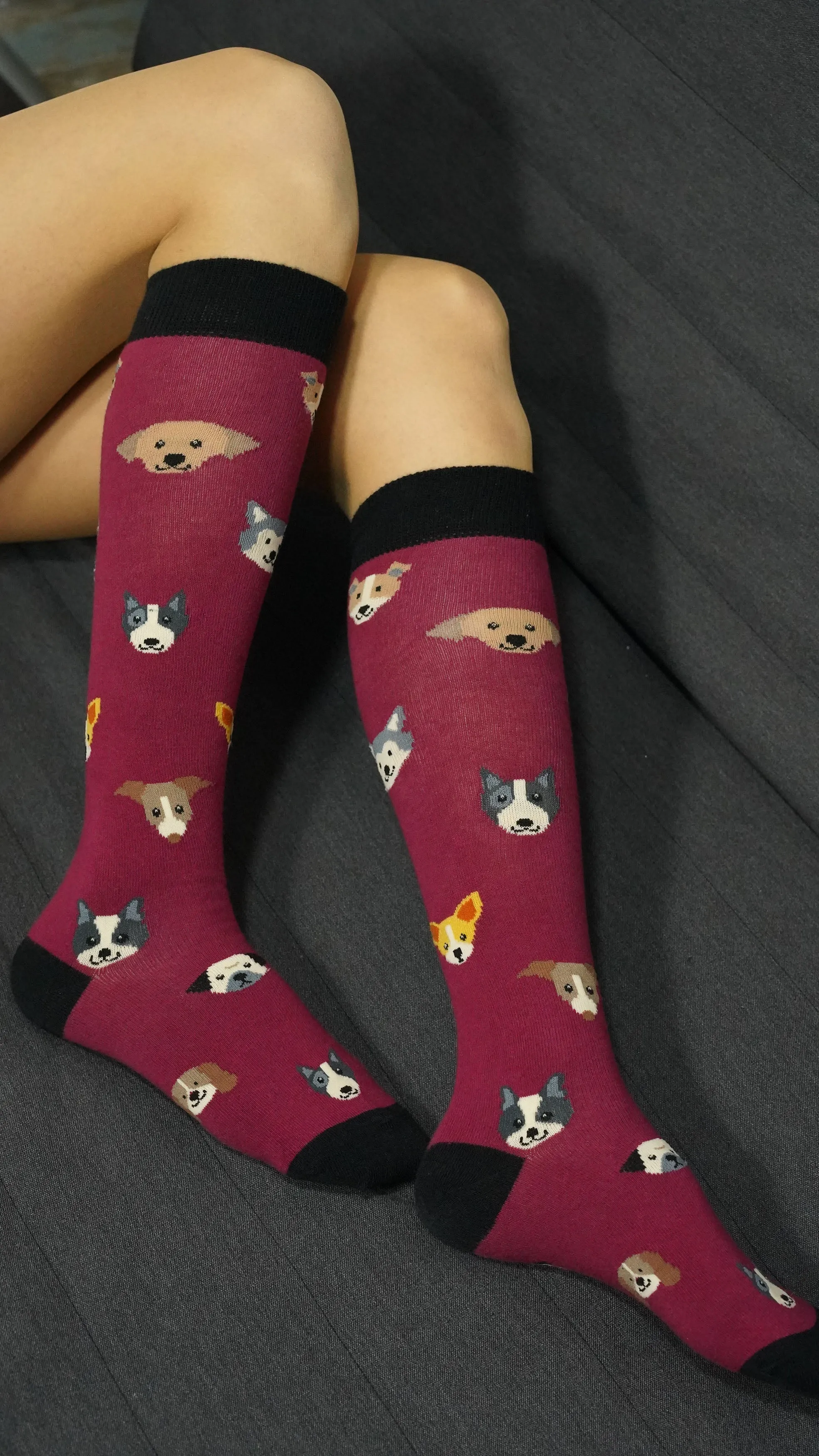 Women's Cute Dogs Knee High Socks
