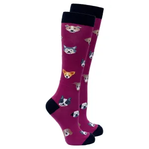 Women's Cute Dogs Knee High Socks