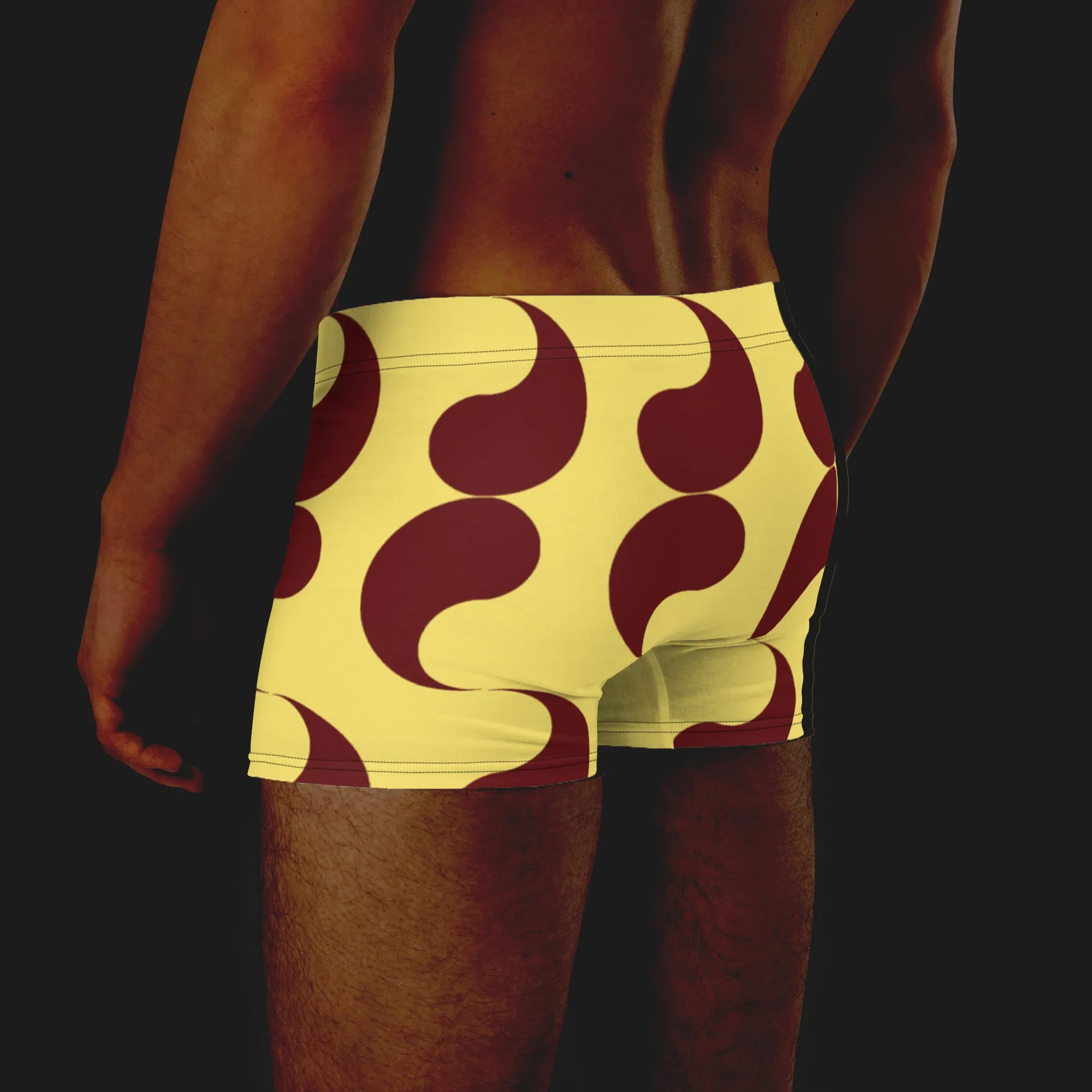 Y Briefs