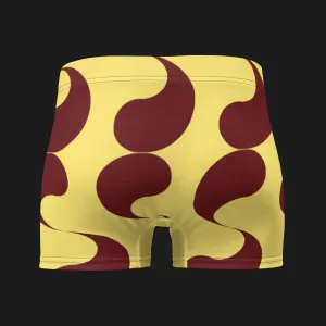 Y Briefs